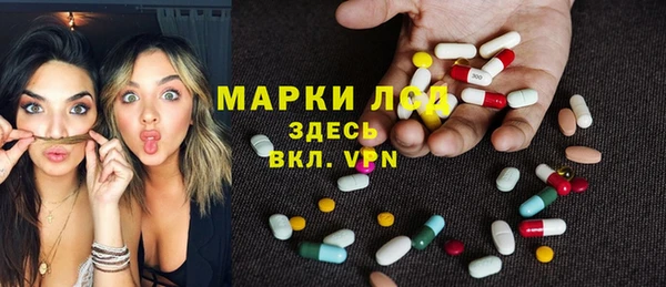 прущие грибы Аркадак