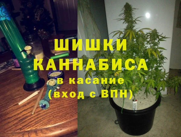 крисы Ладушкин