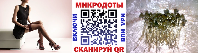 Галлюциногенные грибы мухоморы  наркошоп  Костомукша 